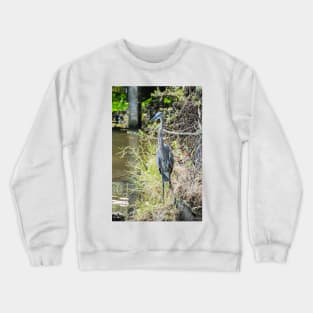 Great Blue Heron Crewneck Sweatshirt